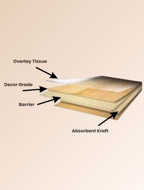 Absorbent Kraft