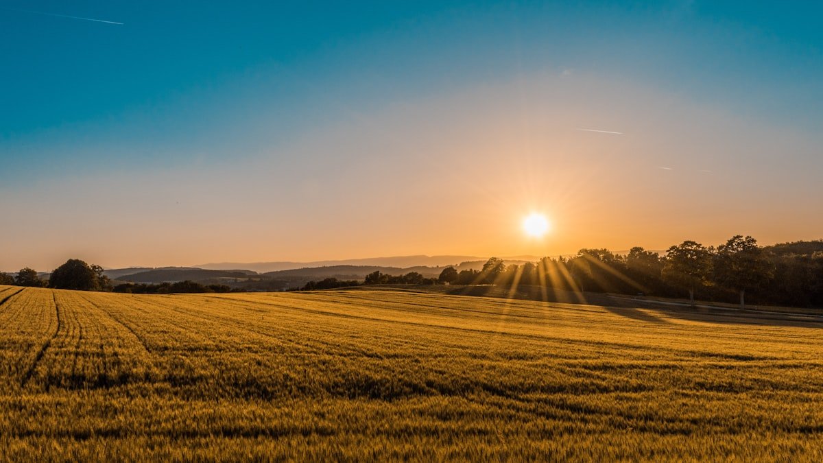 Agricultural Commodities